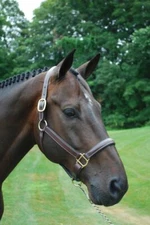 KL Select Red Barn Kate Leather Halter