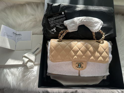 NEW CHANEL Small Classic Bag Quilted Double Flap Beige Caviar Gold Hardware 2021 - Picture 24 of 24
