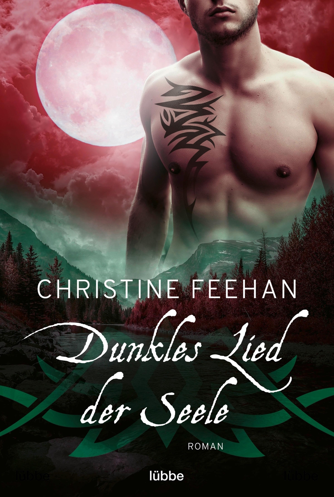 Dunkles Lied Der Seele | Roman | Christine Feehan | Taschenbuch | Die