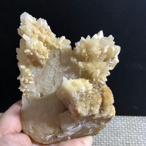 Dogtooth Calcit Probe Natur Calcit Kristall Cluster Stein 714g d718 - Bild 11 von 16