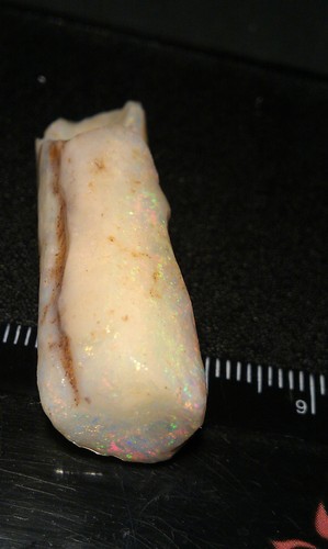 41 cts.rough specimen opalise belemnite/ pipe rare fossil from Coober Pedy - Bild 2 von 10