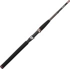 Carp Freshwater Fishing Rods & Poles 3