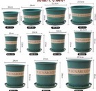 PlantPot flowerpot  victoriae-reginae'White Rhino' Random Decor