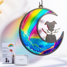 6" Rainbow Bridge Dog Memorial Gifts with Sympathy Card, Loss of Dog Sympathy...