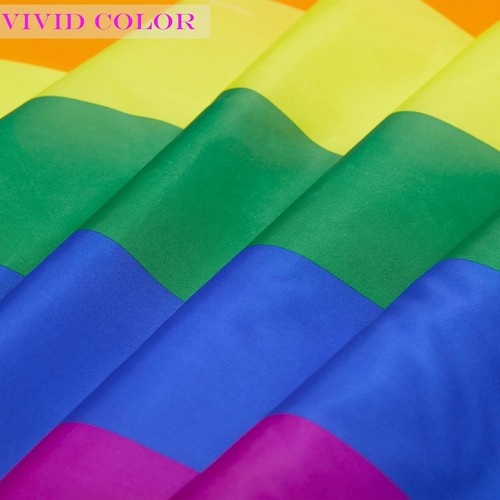 AMZFLAG Progress Pride House Flag 28x40 Inches Outdoor, Double inches  - Picture 5 of 6