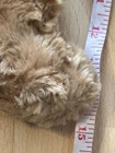 Bild 3 von 7