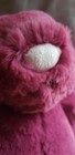 Bild 11 von 11