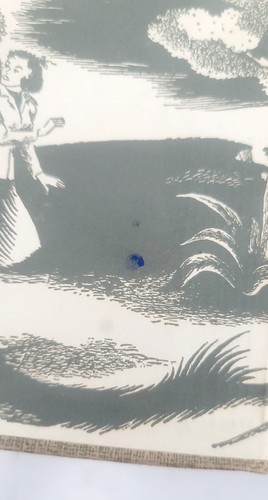 9 Lot 1934 - 1954 The DANA GIRLS Mystery Stories Series 1 2 6 9 11 12 14 15 & 16 - Picture 13 of 21