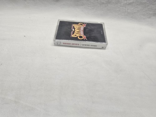 Skynyrd Frynds Cassette Tape New Sealed - Bild 3 von 3