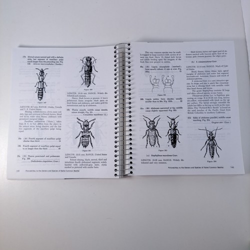 How to Know The Beetles Second Edition Spiral-Bound Paperback Book - Picture 8 of 11