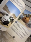 Foto 6 di 8