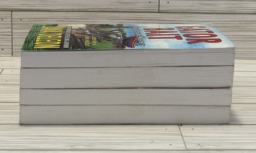 Menge 4 Jana Deleon MISS FORTUNE MYSTERY Taschenbücher - Bild 13 von 14