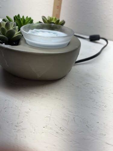 Scentsy "Little Garden" Element Wachswärmer Sukkulente Pflanze funktioniert super! EUC - Bild 7 von 9