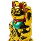 Bild 23 von 55