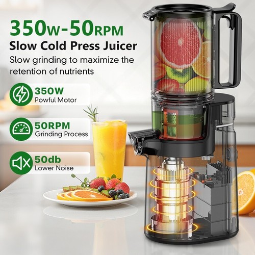 Cold Press Juicer,Slow Masticating Juicer Machines,350W Juice Extractor - Picture 12 of 16