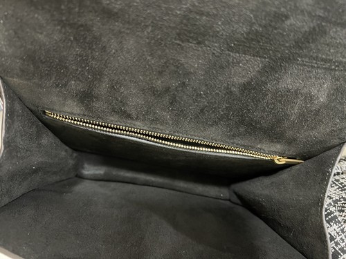 CÉLINE SYMMETRICAL LEATHER CROSSBODY BAG BRAND NEW 100% AUTHENTIC - Afbeelding 10 van 11