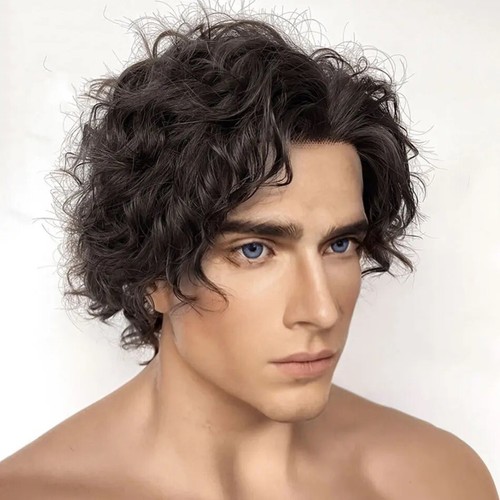 13X6 Lace Front Wigs For Men Human Hair Short Curly Cut Male Lace Wig Glueless - Picture 17 of 18
