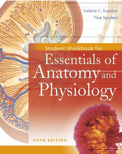 Studentenarbeitsbuch für die Grundlagen der Anatomie und Physiologie von Valerie C. Scanlon - Bild 1 von 1
