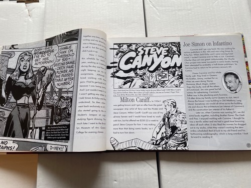 Amazing World of Carmine Infantino - Hardcover – (Vanguard 2000) Near Mint - Foto 6 di 8