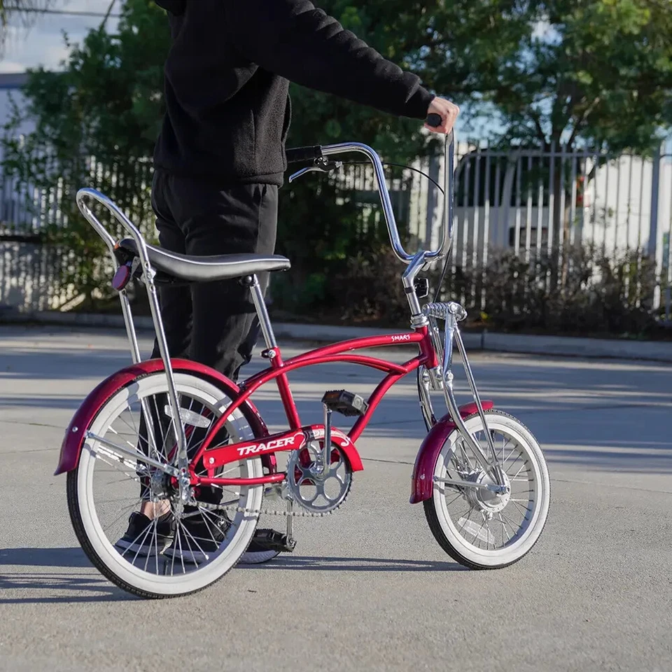 Nuevo Retro 20" Lowrider Freno de Tambor Clásico Schwinn Krate Estilo Stingray Bicicleta Foto 3 de 3