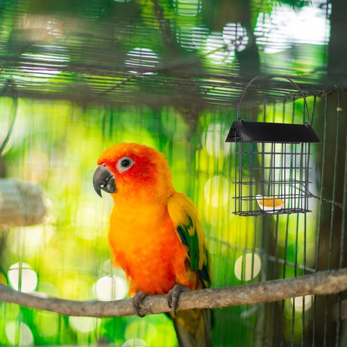 Bird Feeder Hanging Station Mangeoire expédition Pour Les Oiseaux Bol Dalimentation