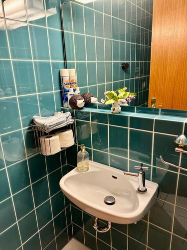 Luxury apartment with pool, sauna and tennis court in Kronberg near Frankfurt - Bild 20 von 24
