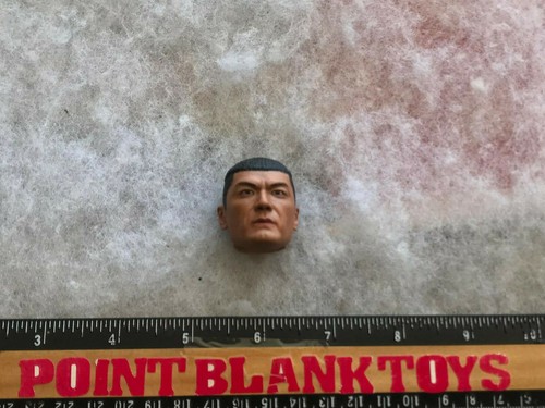 FLAGSET Head Sculpt CHINESE PLA DESERT WOLF FS73025 1/6 ACTION FIGURE TOY dam - Picture 1 of 5