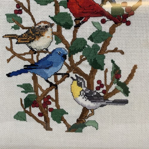 Vintage Feathered Friends Birds Nancy Rossi Cross Stitch Completed Framed 12x15 - Picture 6 of 13