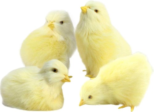 Realistic Plush Chick Figurines,Easter Chicken Gift Decoration Photography Props - Picture 3 of 12
