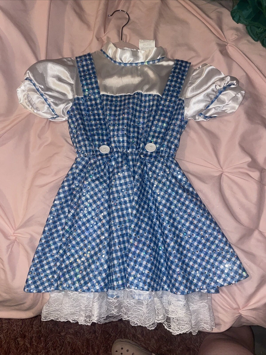 Blue checkered dress dorothy cheap