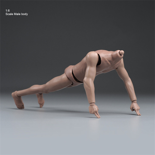 1/6 Male Muscle Figure Seamless Arms Legs Flexible Body 12inches Man Doll - Picture 2 of 7