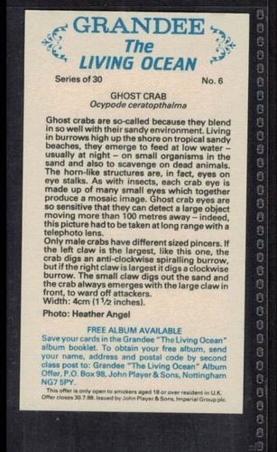 GHOST CRAB - 35 + year old UK Tobacco Card # 6 - Picture 2 of 2