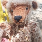 Bild 5 von 22