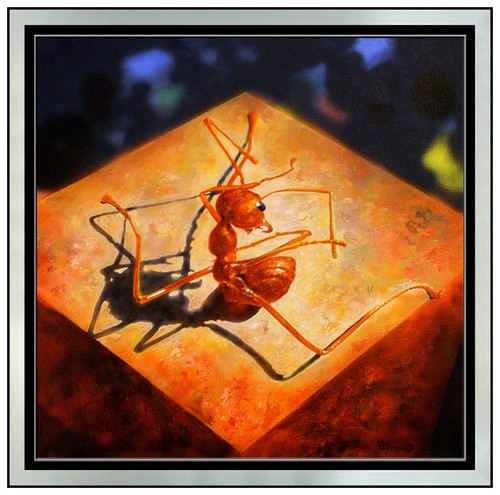Cao Jingping Original Acrylic Painting On Canvas Ant Insect Framed Modern Art - 第 1/5 張圖片