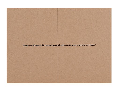 Lawrence Weiner, Multiple, 1968. Turf, Stake and String. - Picture 2 of 5