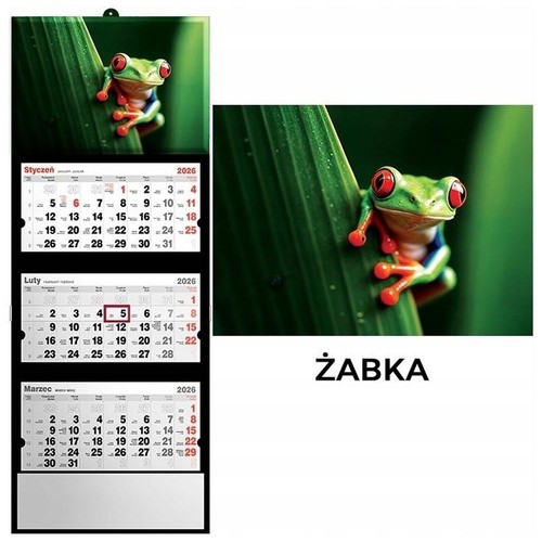 Polski Kalendarz Miesięczny Dzielny 2025 - Organizador Estilo Różne Na Każdy Dzień - Imagen 135 de 177