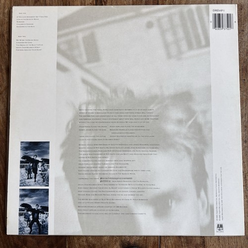 STING - THE DREAM OF THE BLUE TURTLES NEAR MINT PICTURE DISC VINYL LP / INNER - Picture 2 of 13