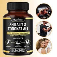 Shilaji Energ Replenish Energy Enhance Immune System Function Promotes Energy