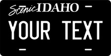 Any State Any Text 250 Designs License Plate Novelty Custom Auto Car
