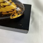 Picture 6 of 6