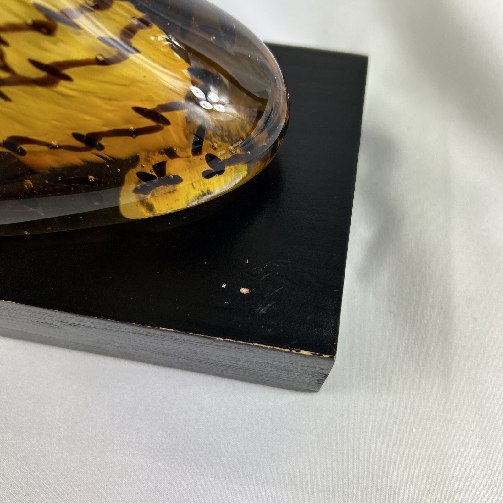 Picture 6 of 6