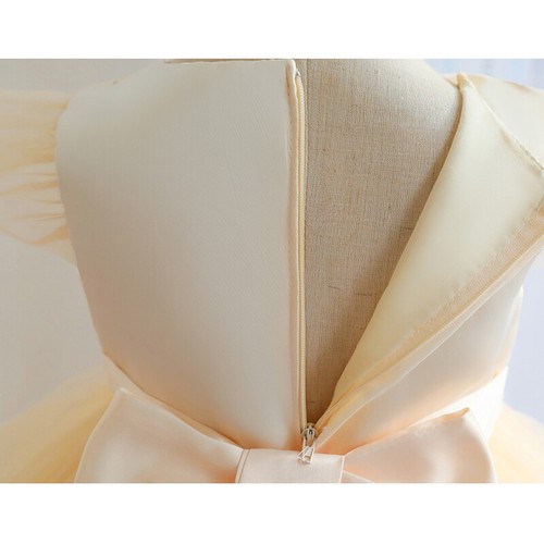 Kids Baby Girls Princess Tutu Dress Wedding Party Formal Ball Gown Pageant Prom - Picture 28 of 58