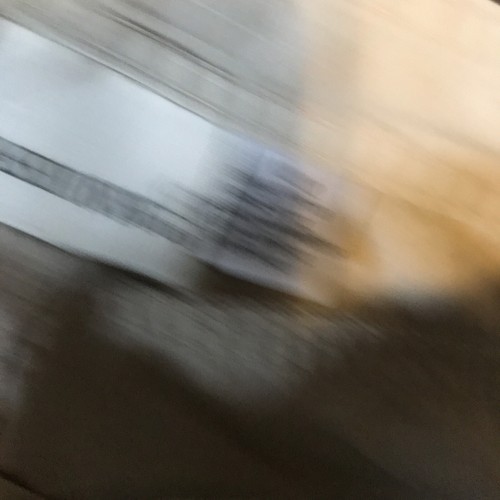 Fashion Bug Shorts 12 New  - Picture 6 of 7