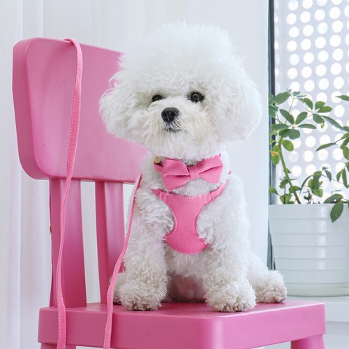 Cute Bowtie Dog Cat Collar & Harness & Leash Pet Puppy Adjustable Control Vest - Picture 11 of 18