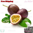 Purple Passion Fruit, Passiflora Edulis, Vine Passion Flower Seeds | NON GMO