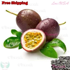 Purple Passion Fruit,  Passiflora Edulis, Vine Passion Flower Seeds | NON-GMO