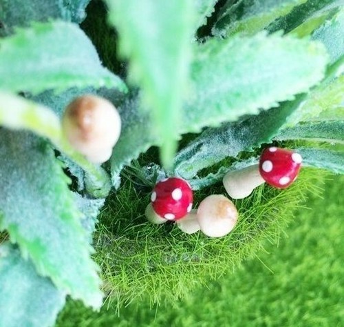 5 braun rot weiß Punkte realistische Pilze Miniatur Fee Zubehör Terrarium - Bild 2 von 5