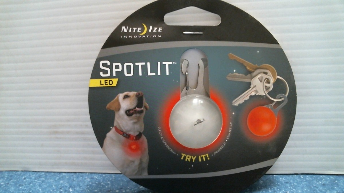 Nite Ize SpotLit 2.12 in. D Stainless Steel Assorted Carabiner w/LED Light Key Holder Nite Ize SpotLit 2.12 in. D Stainless Steel Assorted Carabiner w/LED Light Key Holder