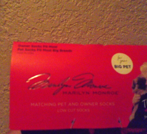 NEU MARILYN MONROE BESITZER TIEF GESCHNITTEN UND GROSSER HAUSTIER HUND PASSENDES SOCKENSET KUSSLIPPEN - Bild 6 von 7