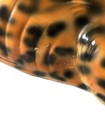 Bild 9 von 24